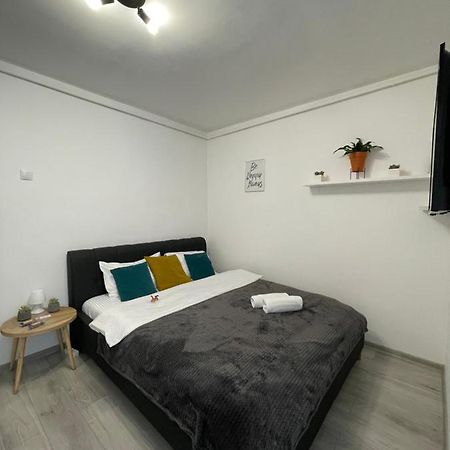 Cozy Studio Apartament Zalău מראה חיצוני תמונה