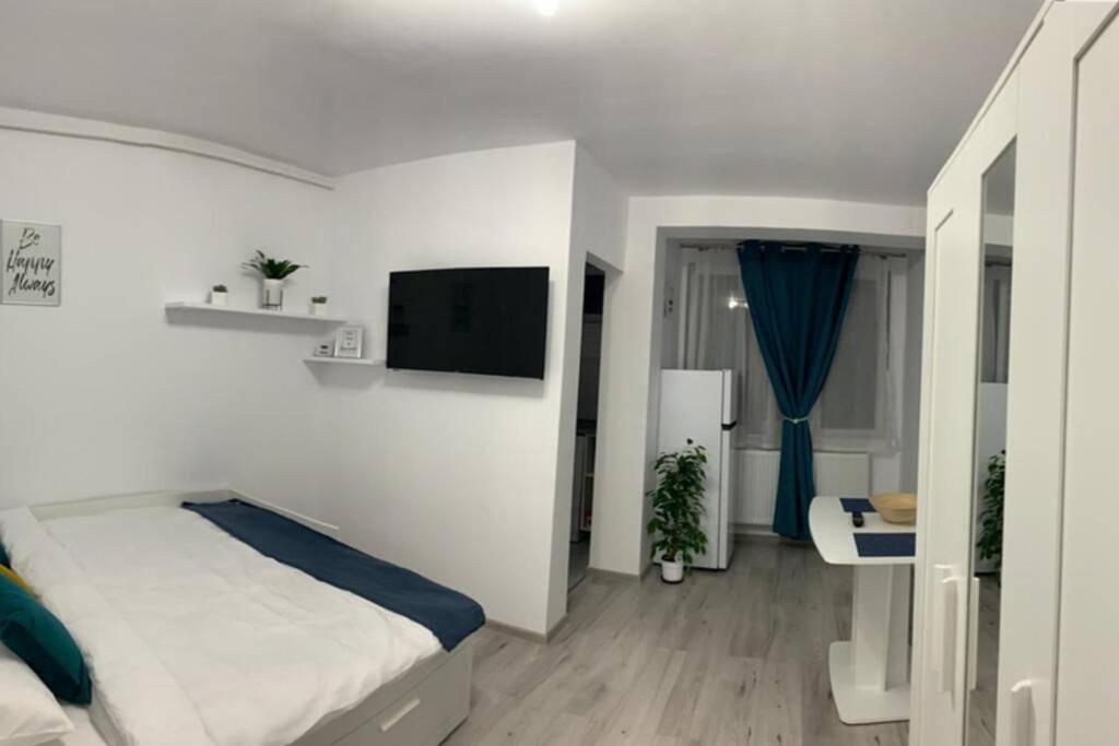 Cozy Studio Apartament Zalău מראה חיצוני תמונה