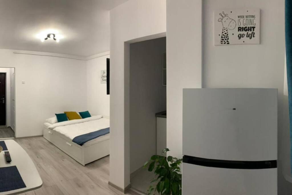 Cozy Studio Apartament Zalău מראה חיצוני תמונה