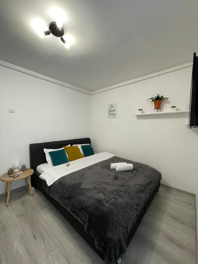 Cozy Studio Apartament Zalău מראה חיצוני תמונה